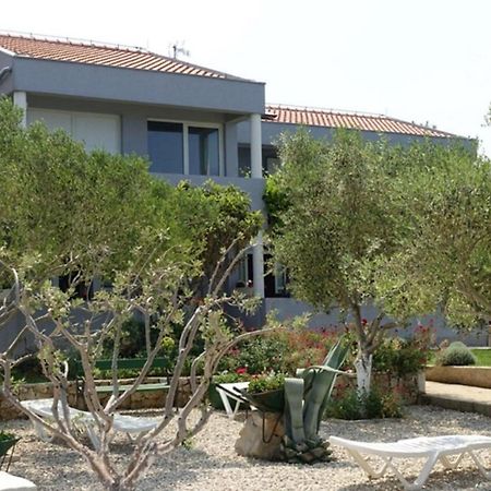 Apartments Ivo Затон Екстериор снимка