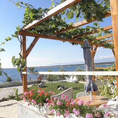 Apartments Ivo Затон Екстериор снимка